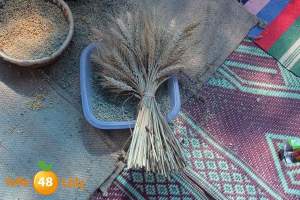 kids 3onab rawda 0430 (87).JPG